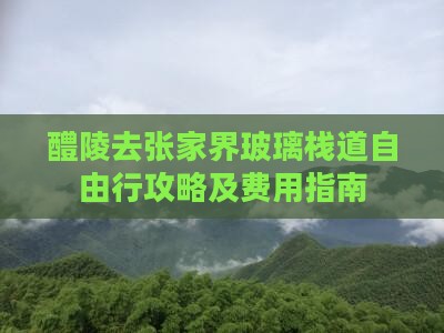 醴陵去张家界玻璃栈道自由行攻略及费用指南