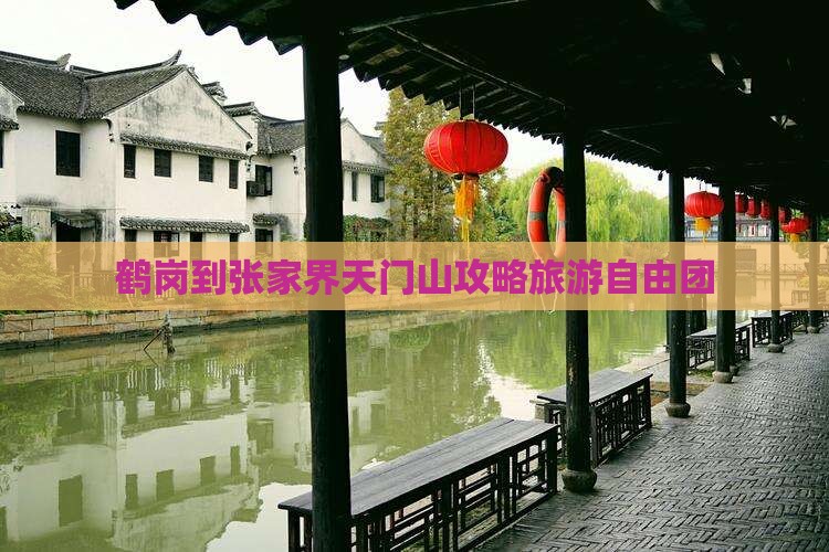 鹤岗到张家界天门山自由团