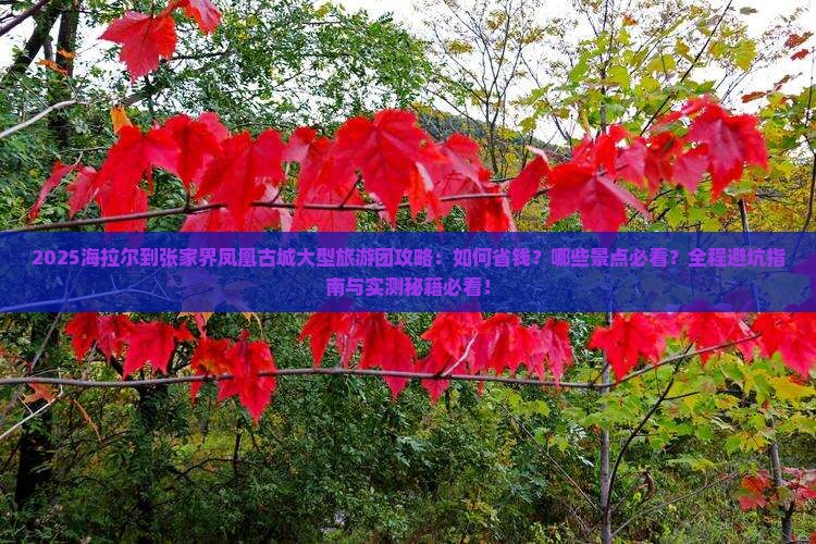 海拉尔到张家界凤凰古城大型旅游团