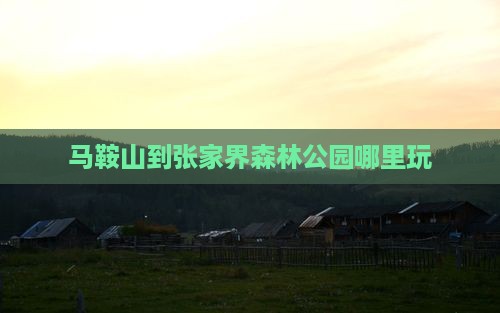 马鞍山到张家界森林公园哪里玩