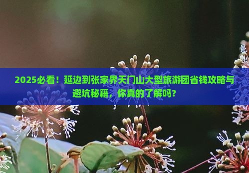 延边到张家界天门山大型旅游团