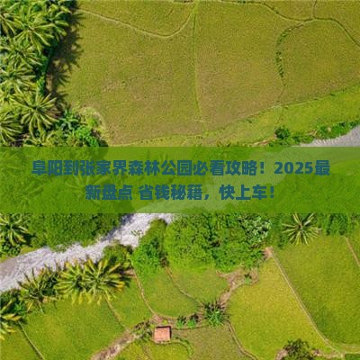 阜阳到张家界森林公园必去地