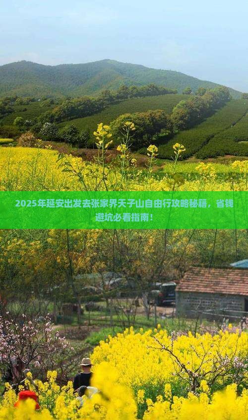 延安去张家界天子山自由行