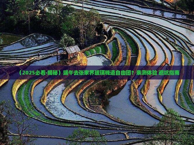 端午节去张家界玻璃栈道自由团