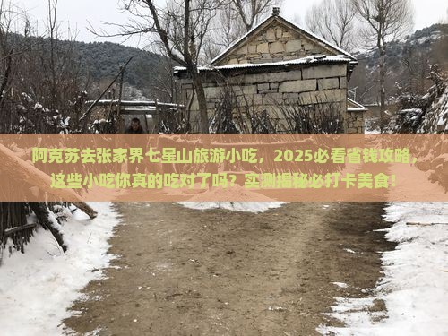 阿克苏去张家界七星山旅游小吃