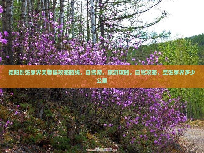 德阳到张家界芙蓉镇攻略