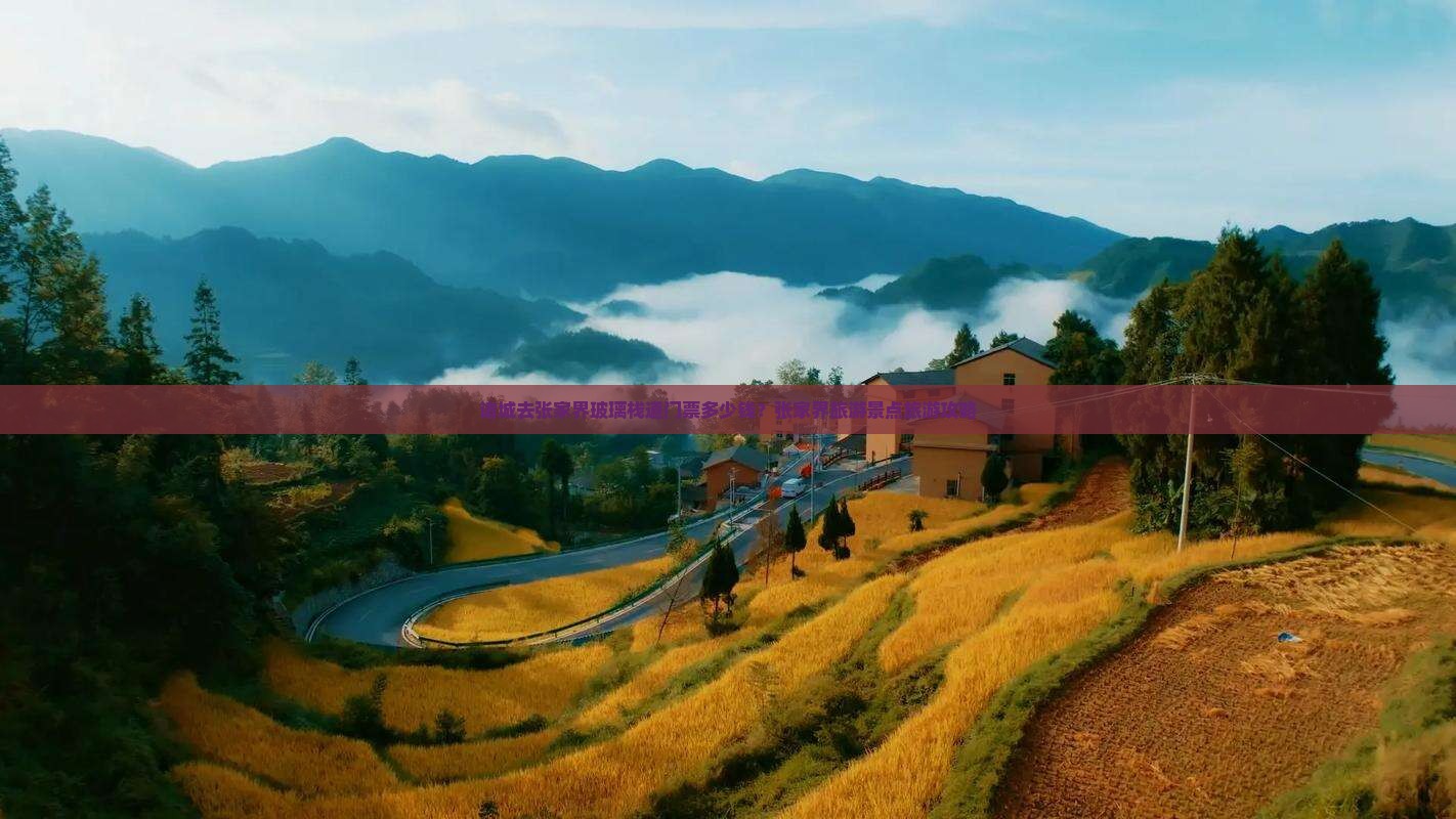 诸城去张家界玻璃栈道门票