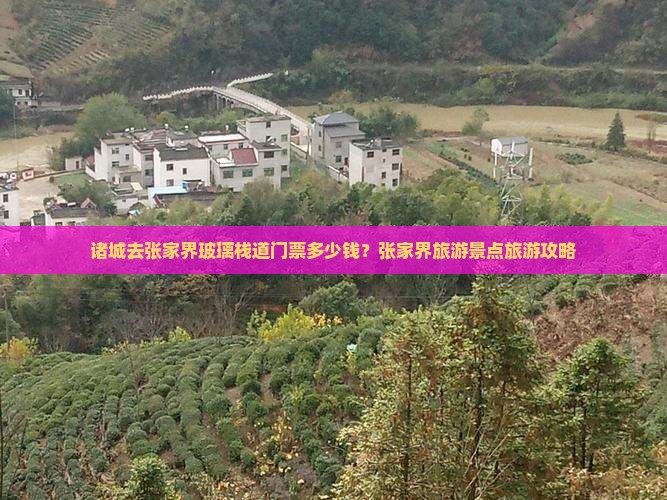 诸城去张家界玻璃栈道门票