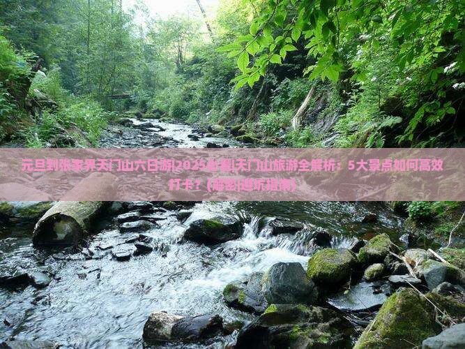 元旦到张家界天门山六日游