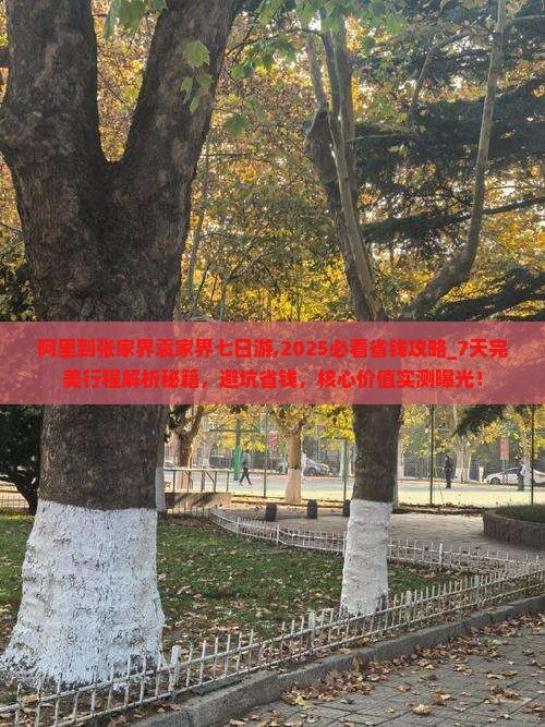 阿里到张家界袁家界七日游