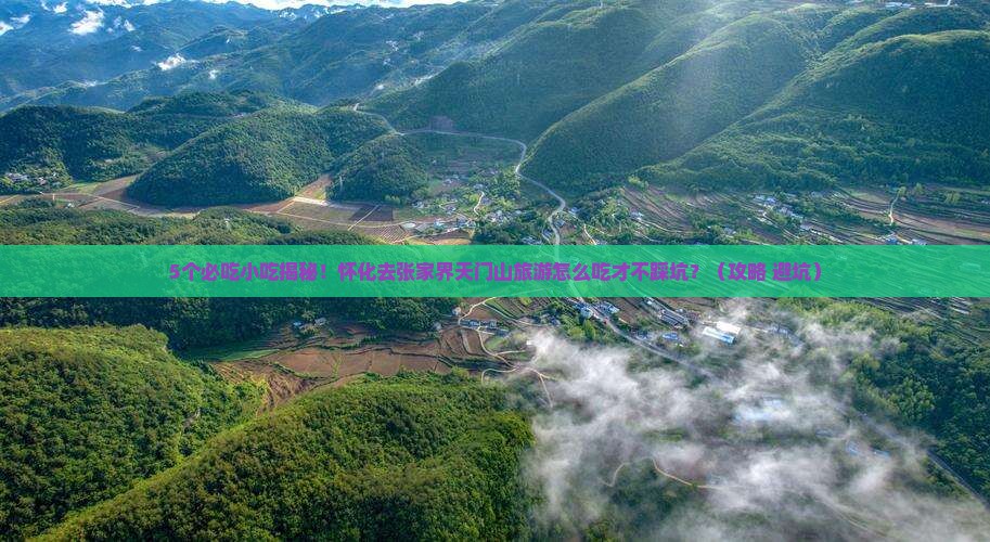 怀化去张家界天门山旅游小吃