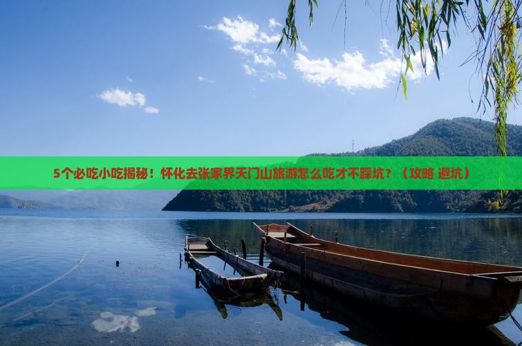 怀化去张家界天门山旅游小吃