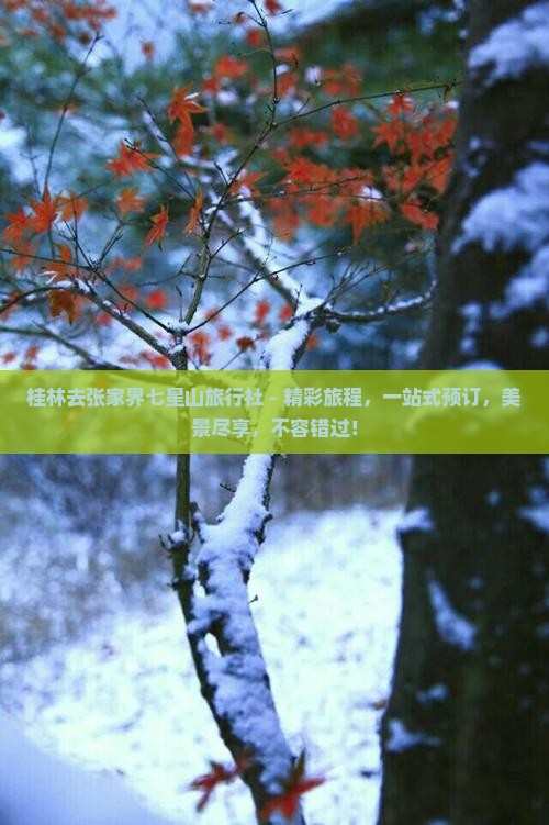 桂林去张家界七星山旅行社
