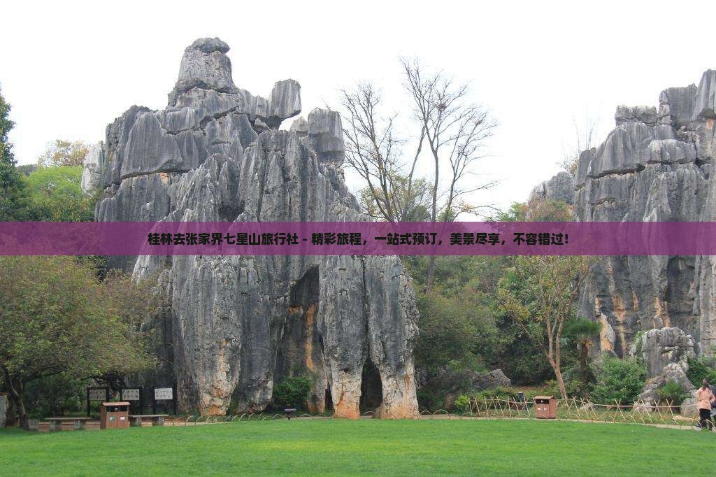 桂林去张家界七星山旅行社
