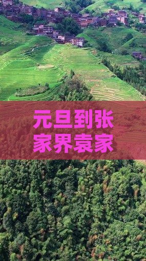 元旦到张家界袁家界自由团