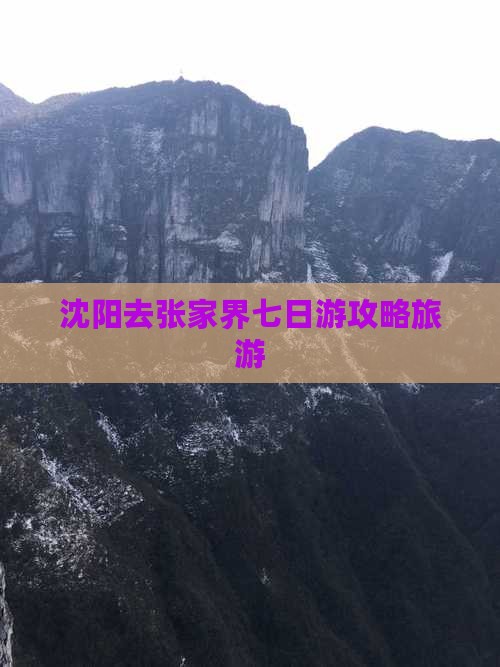 沈阳去张家界七日游