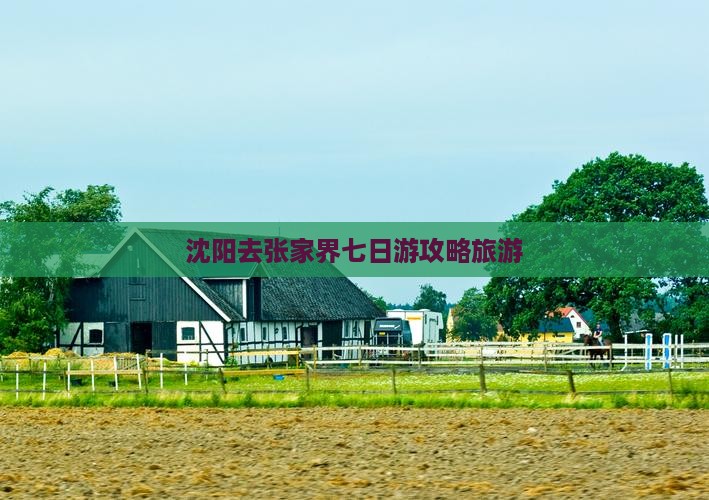 沈阳去张家界七日游