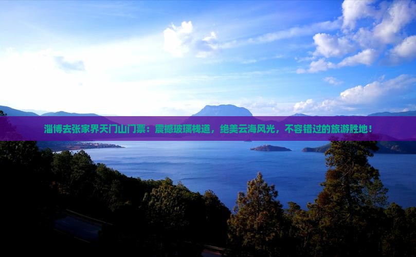 淄博去张家界天门山门票