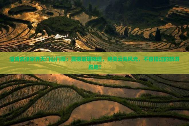 淄博去张家界天门山门票
