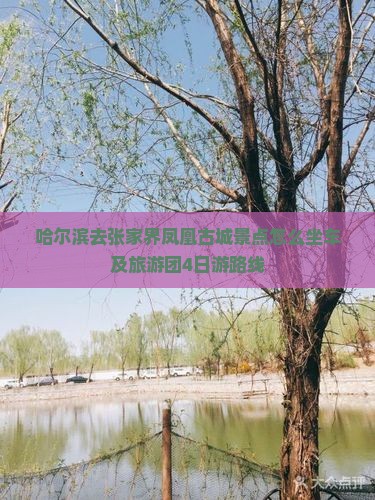 哈尔滨去张家界凤凰古城景点
