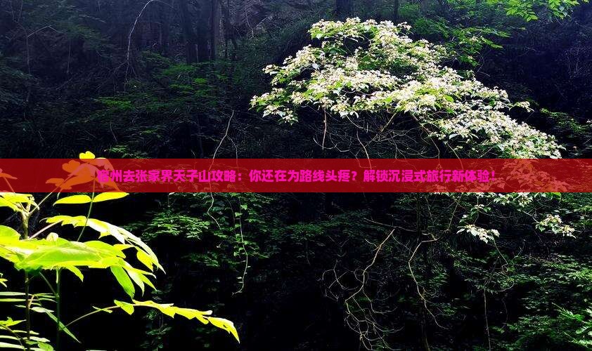 宿州去张家界天子山攻略