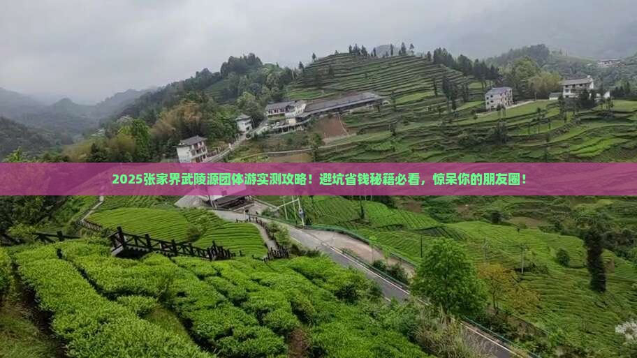 六月到张家界武陵源团体旅游