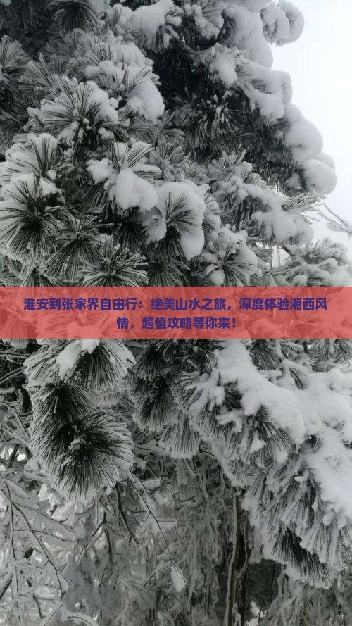 淮安到张家界自由行