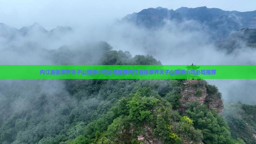 内江去张家界天子山旅游小吃