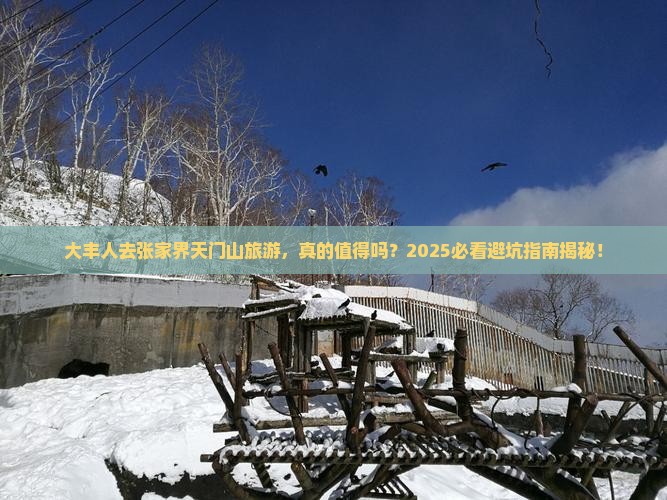 大丰去张家界天门山旅游