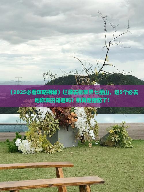 辽源去张家界七星山必去地