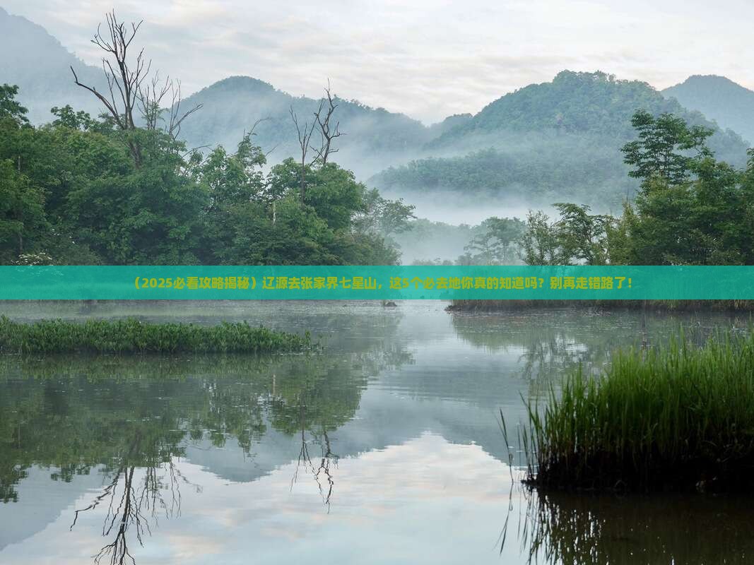 辽源去张家界七星山必去地