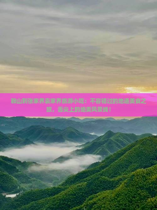 鞍山到张家界袁家界旅游小吃