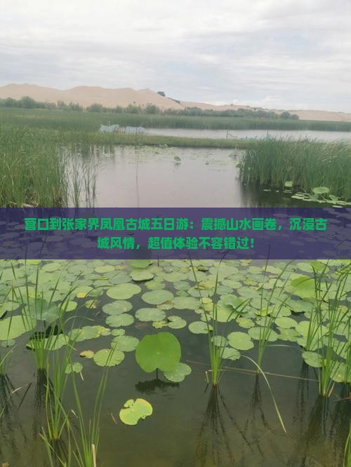 营口到张家界凤凰古城五日游