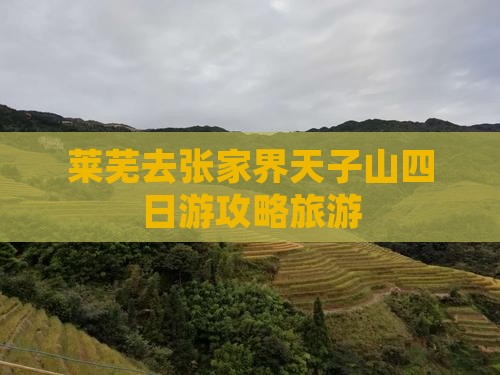 莱芜去张家界天子山四日游