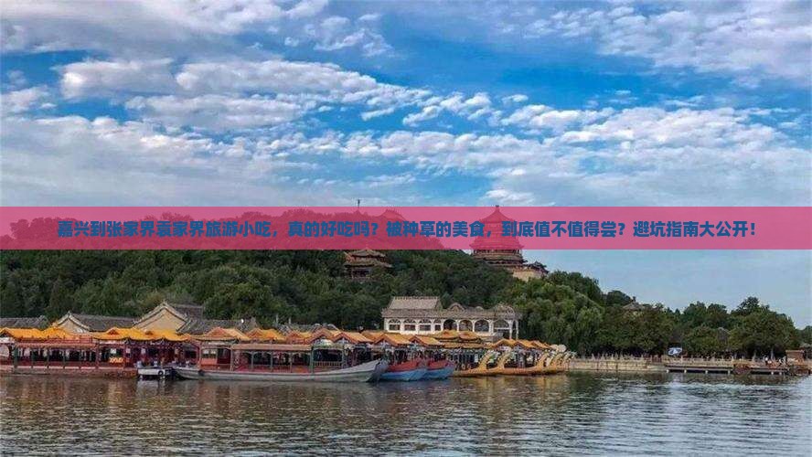 嘉兴到张家界袁家界旅游小吃