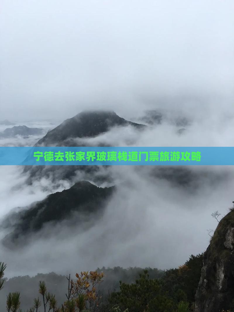 宁德去张家界玻璃栈道门票