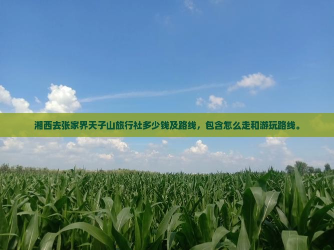 湘西去张家界天子山旅行社