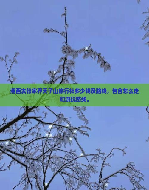 湘西去张家界天子山旅行社