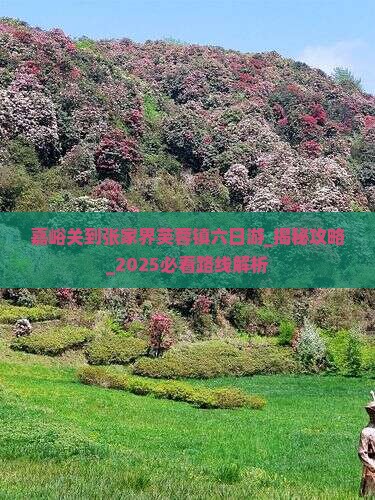 嘉峪关到张家界芙蓉镇六日游