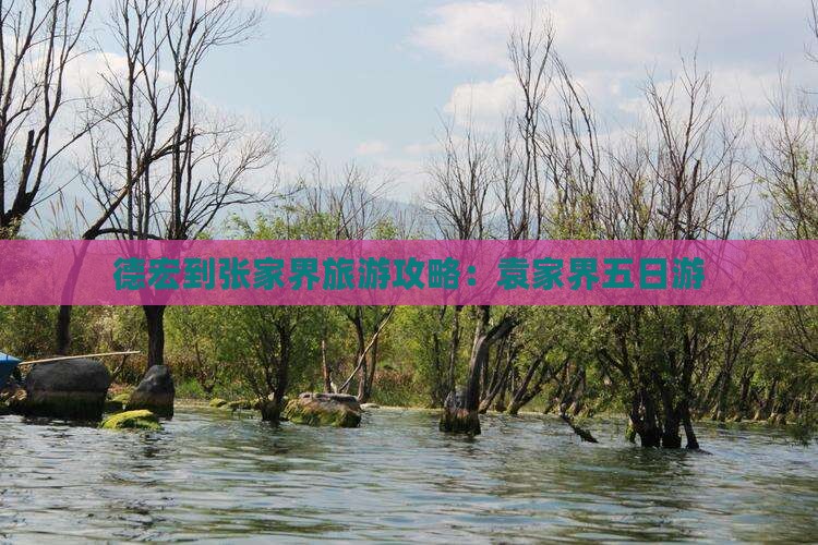 德宏到张家界袁家界五日游