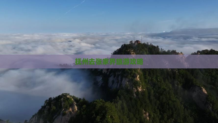 抚州去张家界森林公园大型旅游团
