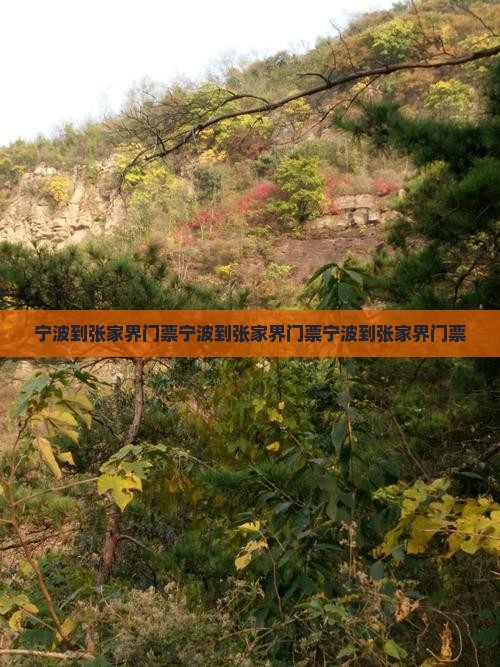 宁波到张家界门票