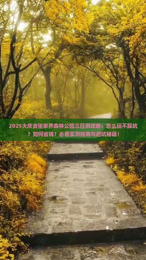 大庆去张家界森林公园三日游