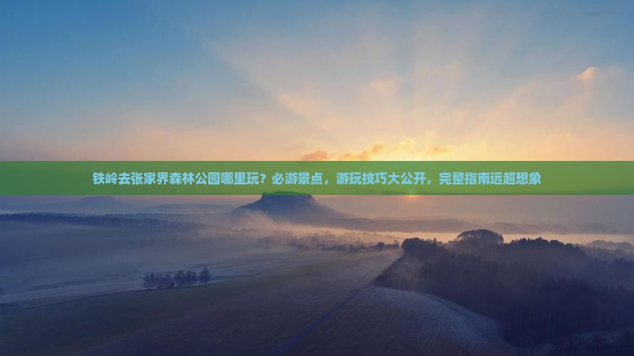 铁岭去张家界森林公园哪里玩