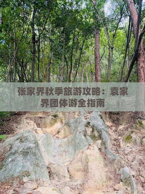 秋天到张家界袁家界团体旅游