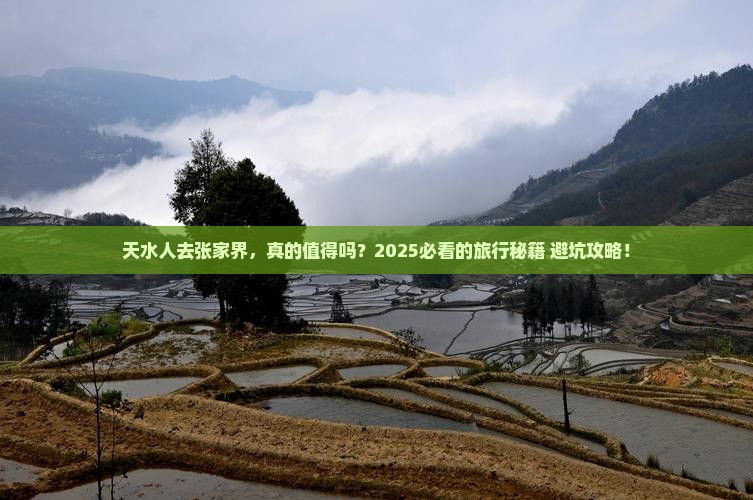 天水去张家界旅游