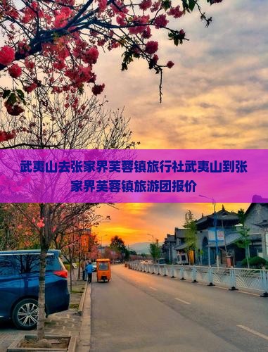 武夷山去张家界芙蓉镇旅行社