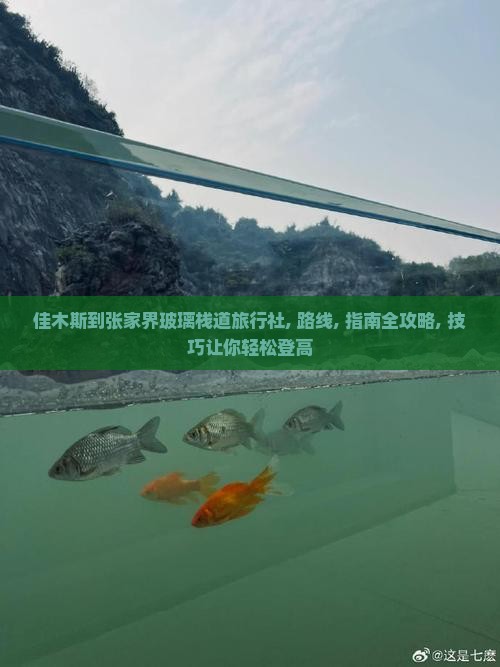 佳木斯到张家界玻璃栈道旅行社