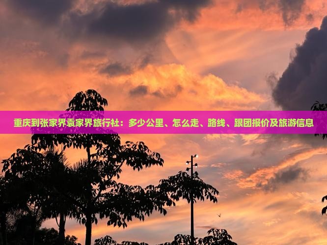 重庆到张家界袁家界旅行社
