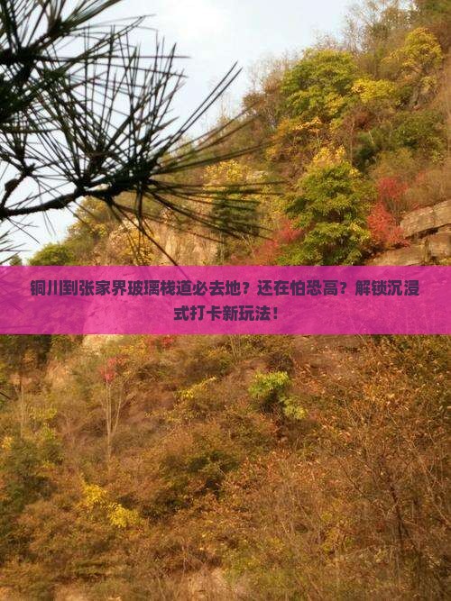 铜川到张家界玻璃栈道必去地